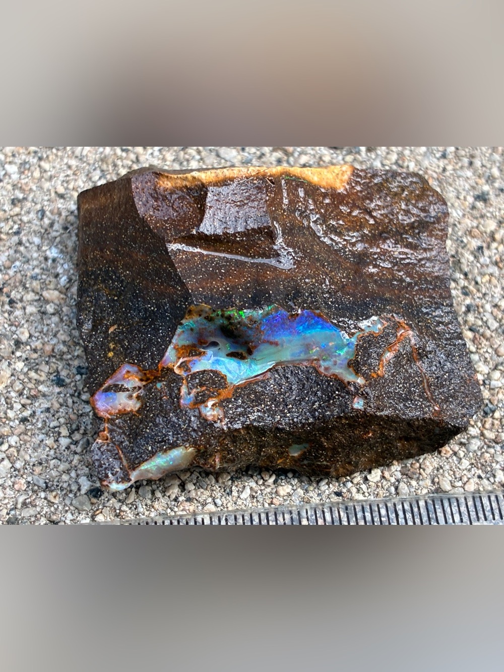 326ct Large Australian Boulder Rough Opal Loose Specimen